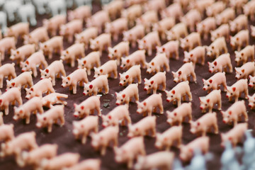 Fototapeta premium Pig toy figurine