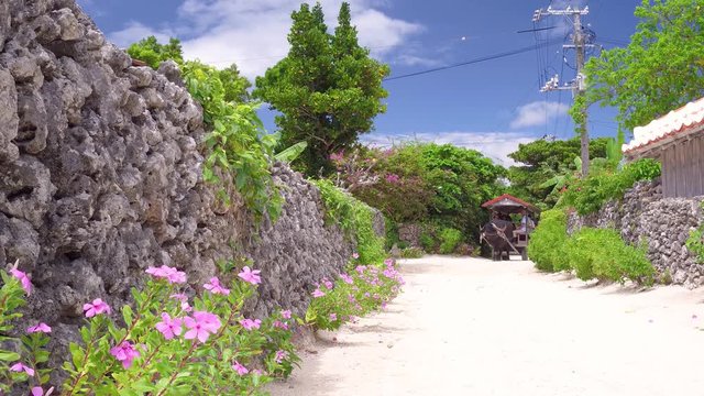 竹富島の集落