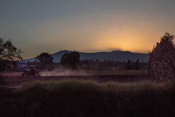 trabajo de campo