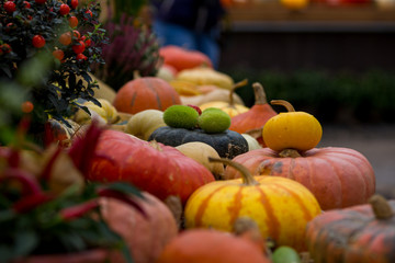 Close up of decoration with pumpkins on table