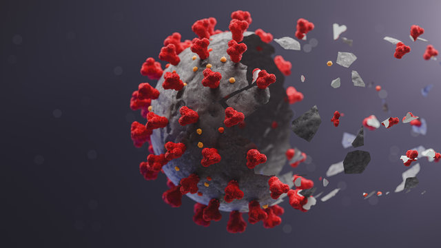 Novel corona virus COVID-19 breaking up into pieces. The end of SARS-CoV-2. 3d render.