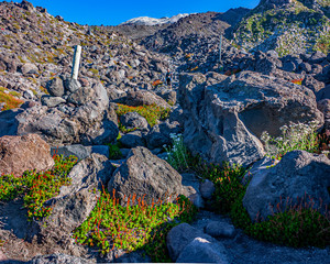 Obraz premium Mt St Helens Monitor Ridge Rock Scamble with Person