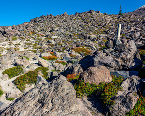 Fototapeta na wymiar Mt St Helens Monitor Ridge Rock Scamble