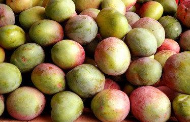 mango alimento de buen sabor tropical