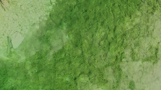Elevated perspective view of the crystal clear water of Pavilion Lake in Marble Canyon Provincial Park, British Columbia, Canada