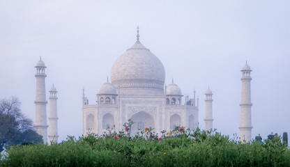 Fototapeta na wymiar Taj Mahal in Early Morning Light
