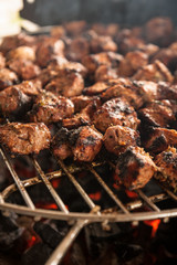 Shashlik grilling on grill with live flame