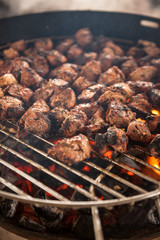 Shashlik grilling on grill with live flame