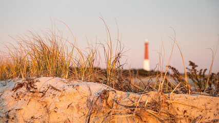 Unusual shot of a blurred Barnegat Lighthouse with sharp dune vegetation in the foreground