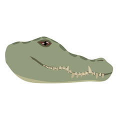African Animal - Crocodile Head/Face - Vector Cartoon