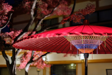 Naklejka premium Traditional Japanese Umbrella