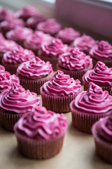 Chocolate cupcakes with raspberry cream on top