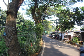 Park on the edge of Jakarta. Park to beautify the road. Greening program for public roads. Ornamental plant program on the road. Community participation to beautify the road