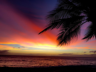 Naklejka na ściany i meble Sunset at the Beach