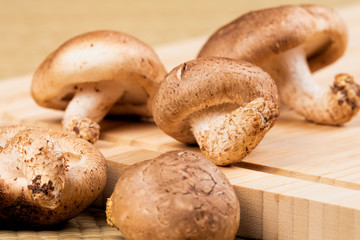 Background of delicious edible brown mushrooms