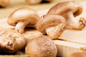 Background of delicious edible brown mushrooms