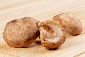 Background of delicious edible brown mushrooms
