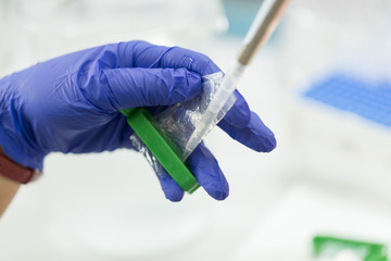 Scientist with pipette and test tube, examining samples and liquid in laboratory