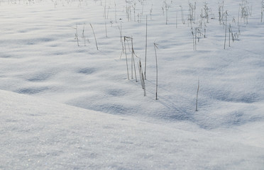 枯れ草　雪　素材