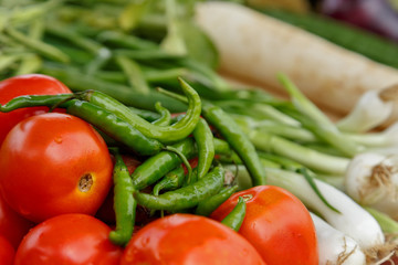 Green chilis with tomatoes and other vegetables