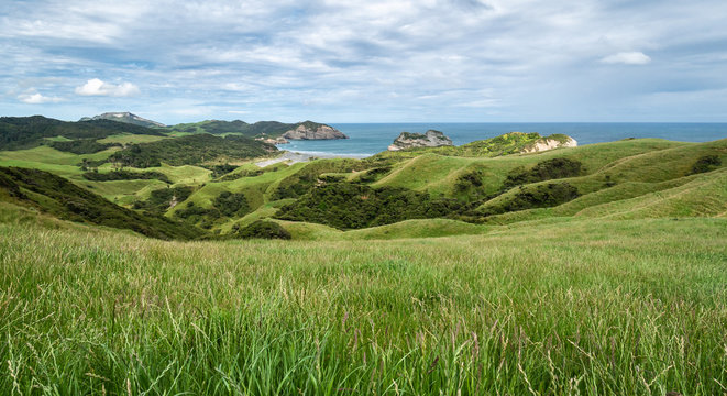 Green coastal landscape with grass, rolling hills and cliffs, shot at Cape Farewell, New Zealand