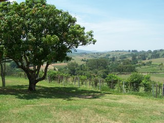 Paisagem Serra da Paulista
