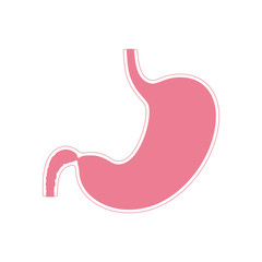 Obraz premium Vector isolated illustration of stomach