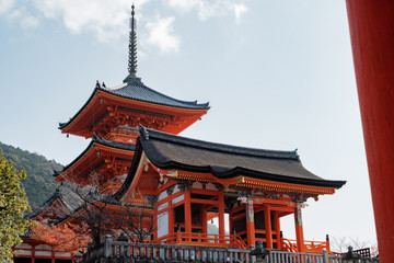 Naklejka premium Kiyomizudera Temple and Autumn Leaves in Kyoto, Japan 