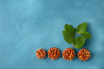 Tasty eastern sweets kozinaki made from peanuts and honey and natural branches on a blue background.