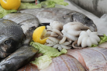 Pesce fresco su di un bancone di un ristorante italiano