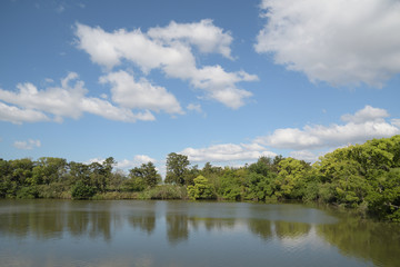 池の上空に夏の雲が浮かぶ青空が広がっている風景
