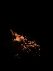 Tongues of flame on a black isolate.