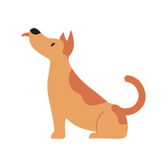 Cute Cartoon dog, Vector illustration dog on a white background. Drawing for children