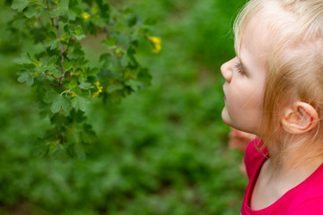 Portrait of pretty blond toddler girl sniffing blomming acacia flowers in a summer day. Copy space
