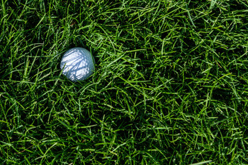 White golf ball embedded in the tall grass of a golf course rough
