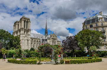 Square René-Viviani and Notre Dame Cathedral, Paris, France.