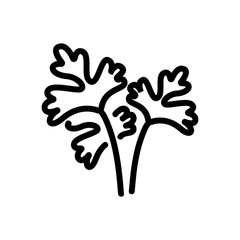 coriander seedling leaves icon vector. coriander seedling leaves sign. isolated contour symbol illustration