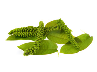 walnut leaves isolated on white background