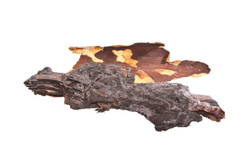 tree bark isolated on white background