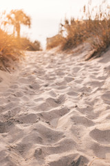 sand dunes in the desert