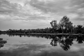 reflection of trees in the water