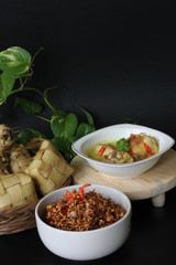 chicken typical opor indonesia isolated on background