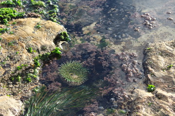 Rocks on thee beach 