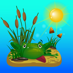 Green frog on the hot sun