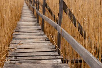 the bridge through the reeds at the end of summer