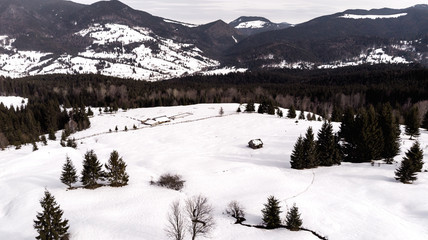 the bridge through the reeds at the end of summer