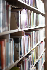 library shelf full of books