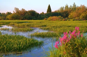 autumn landscape with lake