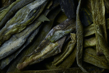 dry green tea leaves macro background