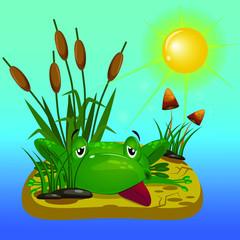 Green frog on the hot sun